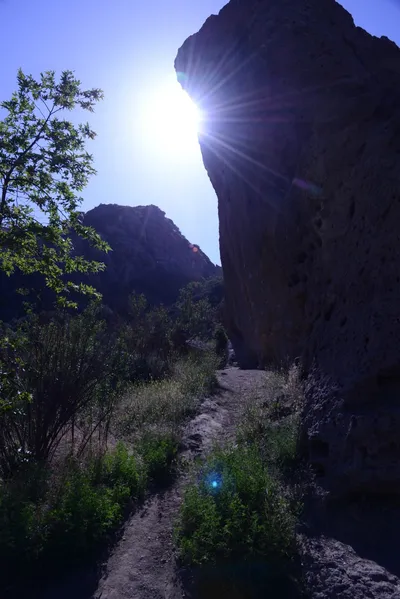 DSC_2017 (Large).JPG